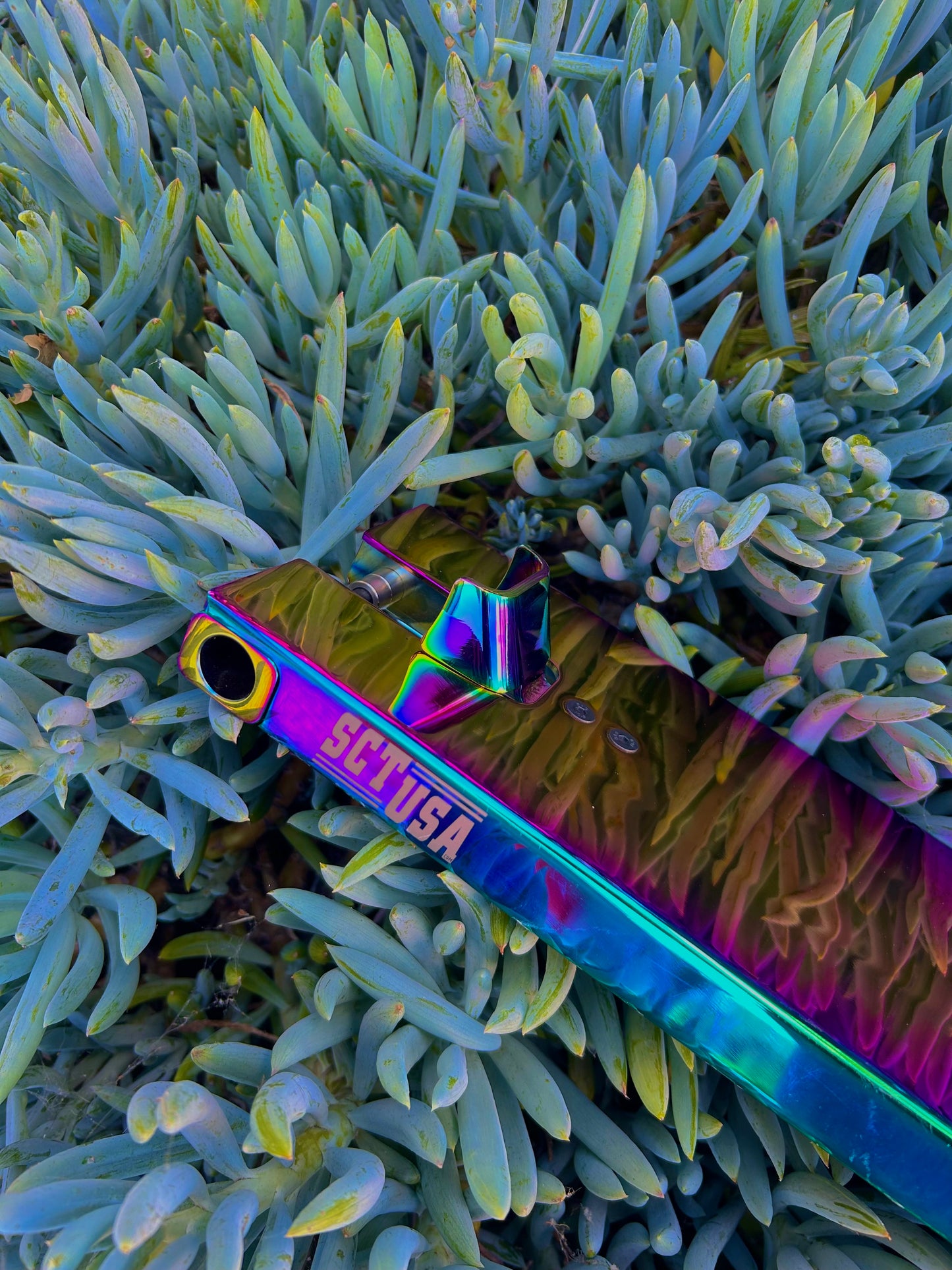 SCT USA Boxed Deck 5x20