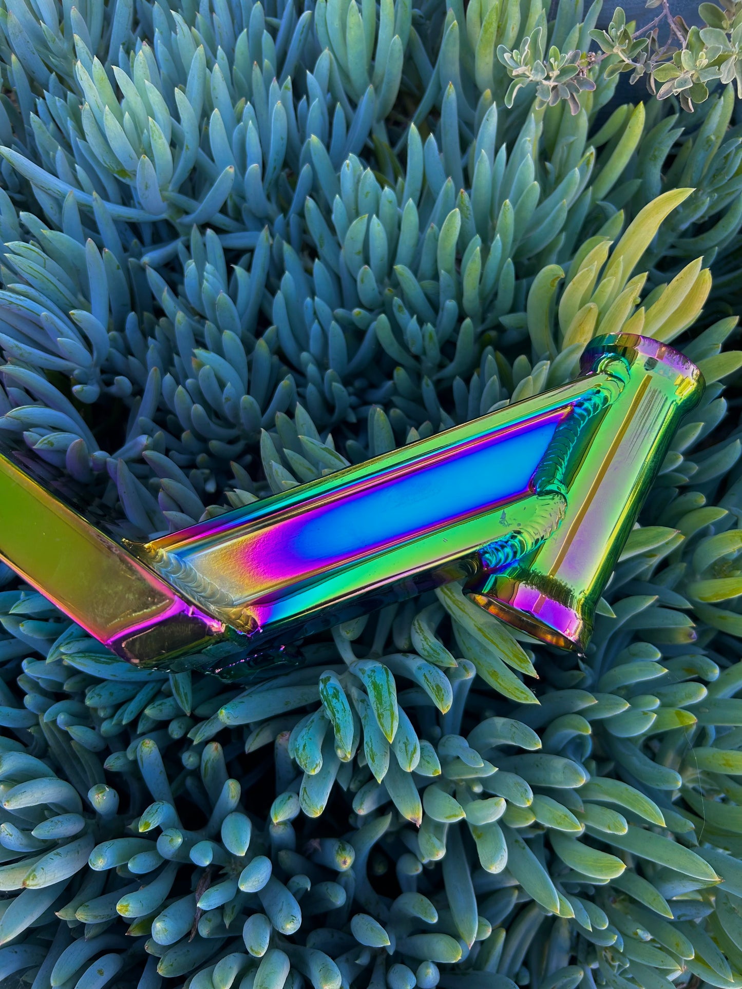 SCT USA Boxed Deck 5x20