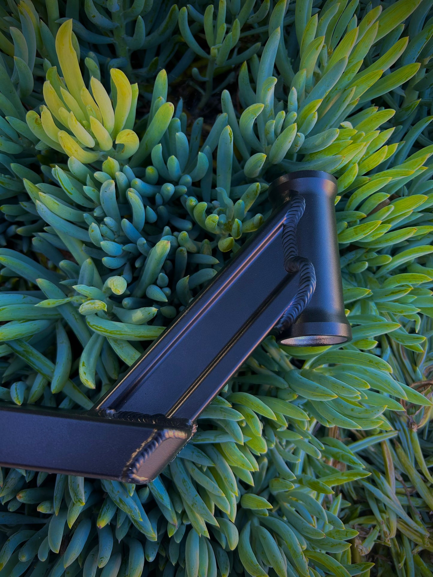 SCT USA Boxed Deck 5x20