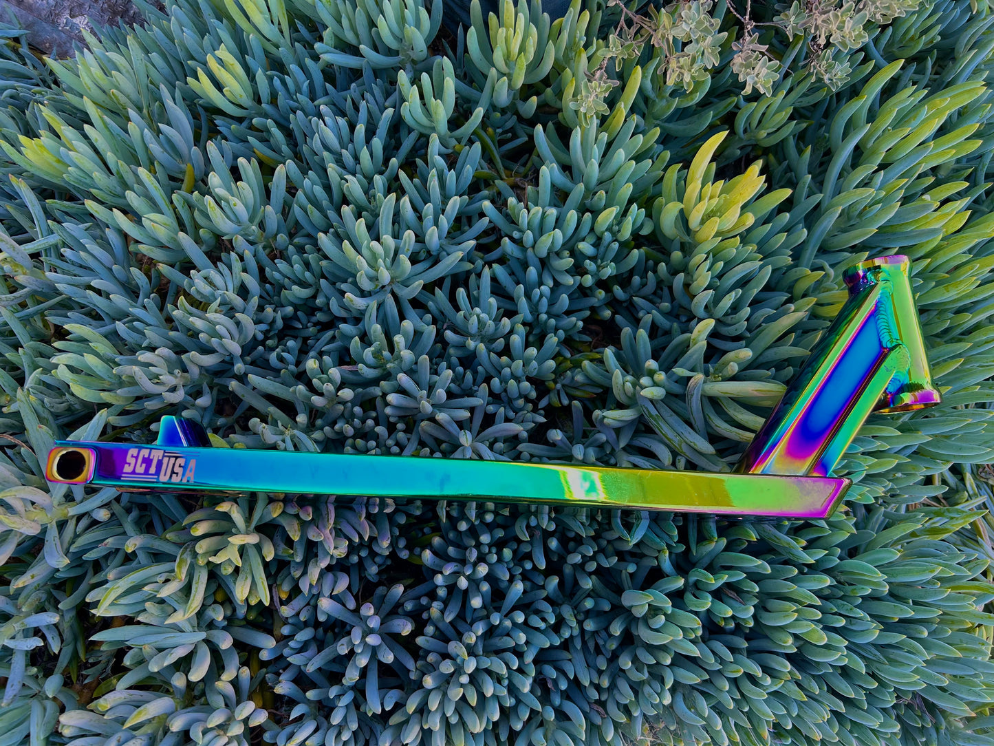 SCT USA Boxed Deck 5x20